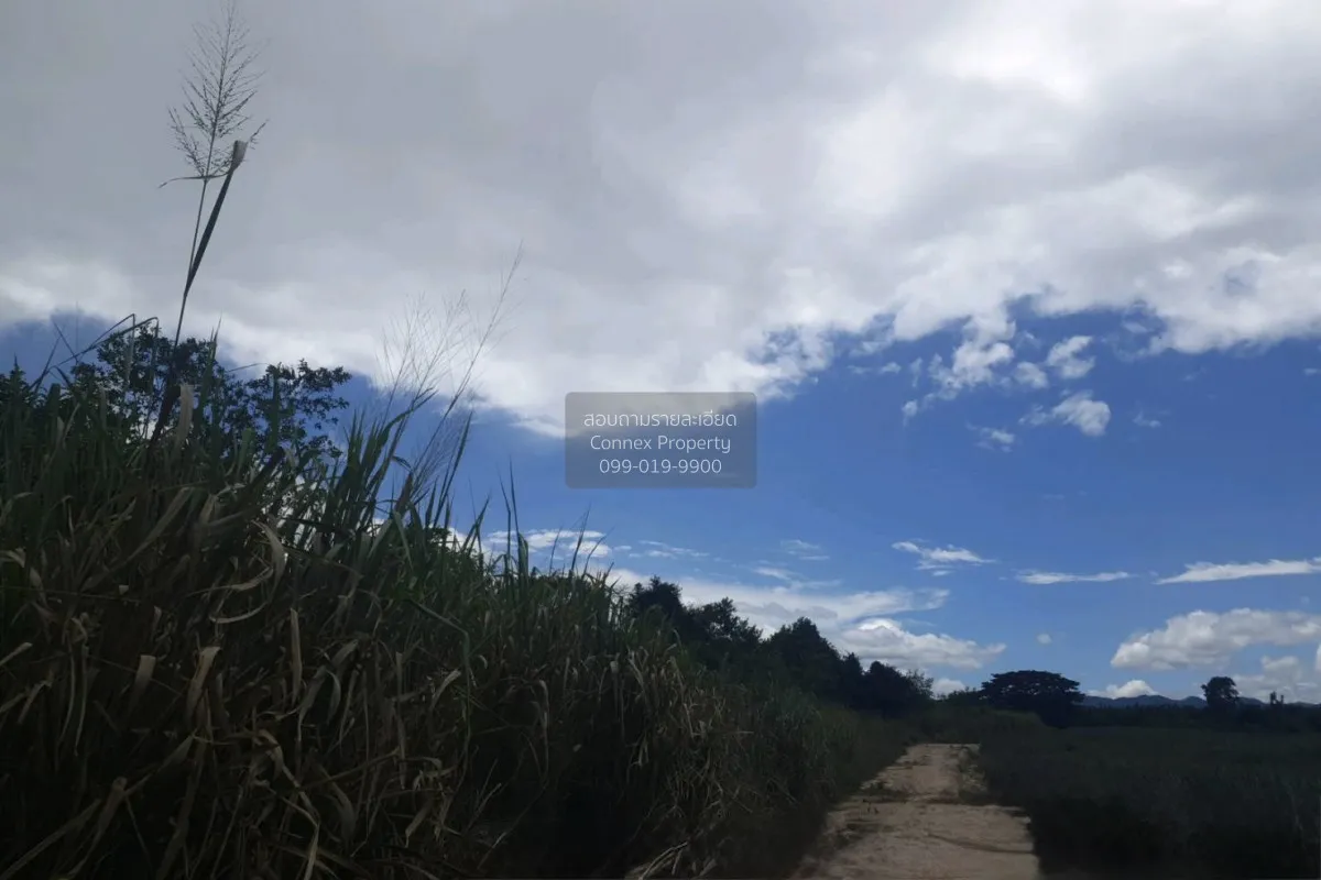 For Sale land 20-3-90 square wah Bon Nok Prachuap Khiri Khan. , B 1