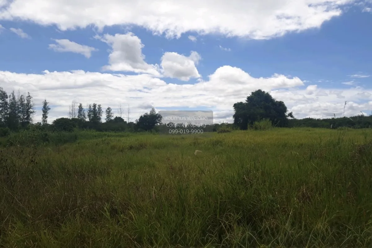For Sale land 20-3-90 square wah Bon Nok Prachuap Khiri Khan. , B 3