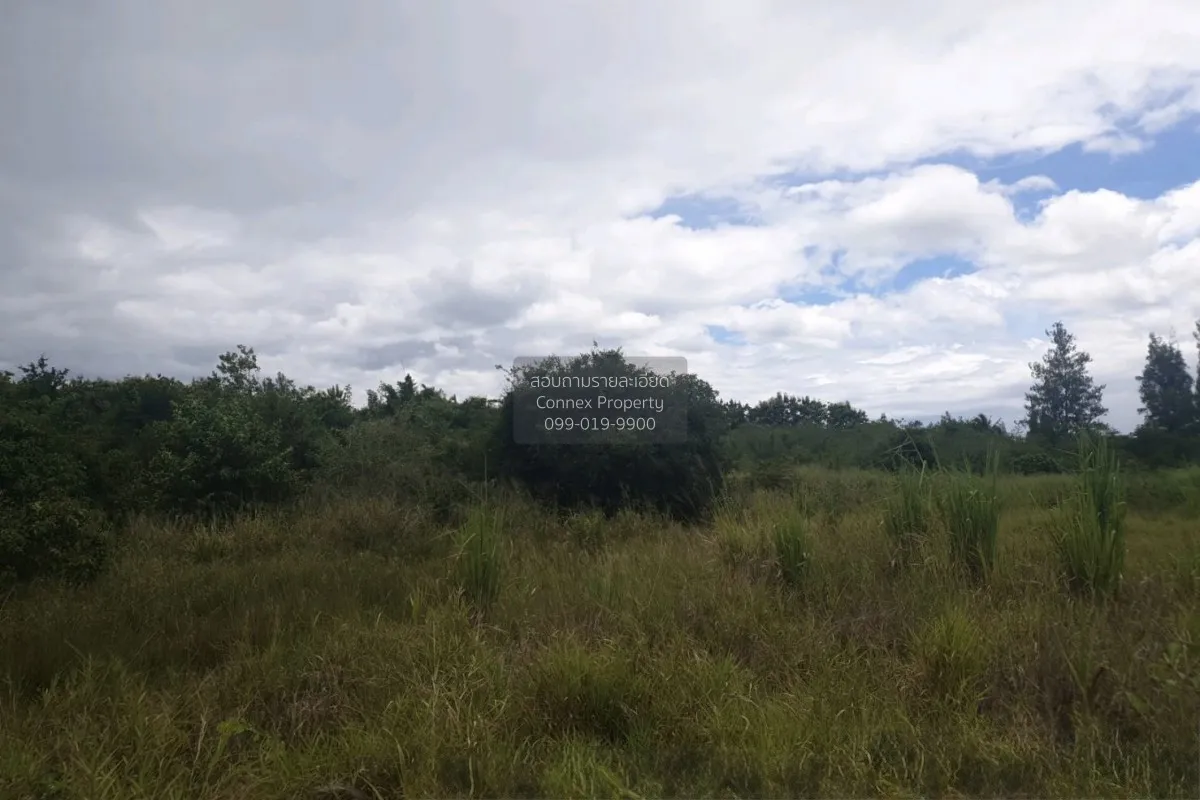 For Sale land 20-3-90 square wah Bon Nok Prachuap Khiri Khan. , B 4