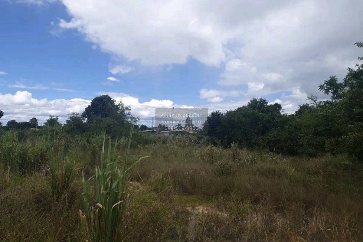 For Sale land 20-3-90 square wah Bon Nok Prachuap Khiri Khan. , B