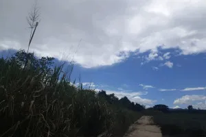 For Sale land 20-3-90 square wah Bon Nok Prachuap Khiri Khan. , Bo Nok , Mueang Prachuap Khiri Khan , Prachuap Khiri Khan , CX-154744