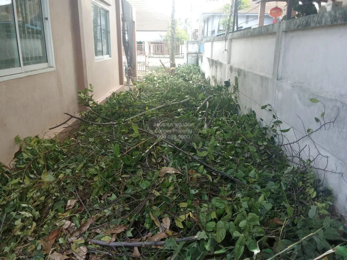 ขายบ้าน  บ้านปันสุข มาบยางพร ปลวกแดง ระยอง CX-154784 4