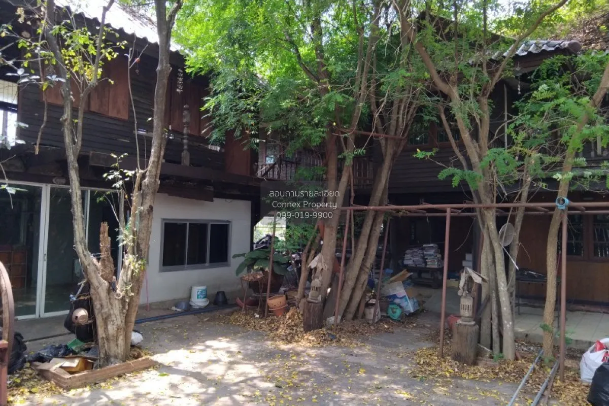 For Sale 2 - story house 1 rai, Sri Dan 22, Bang Phli, Samut Prak 3