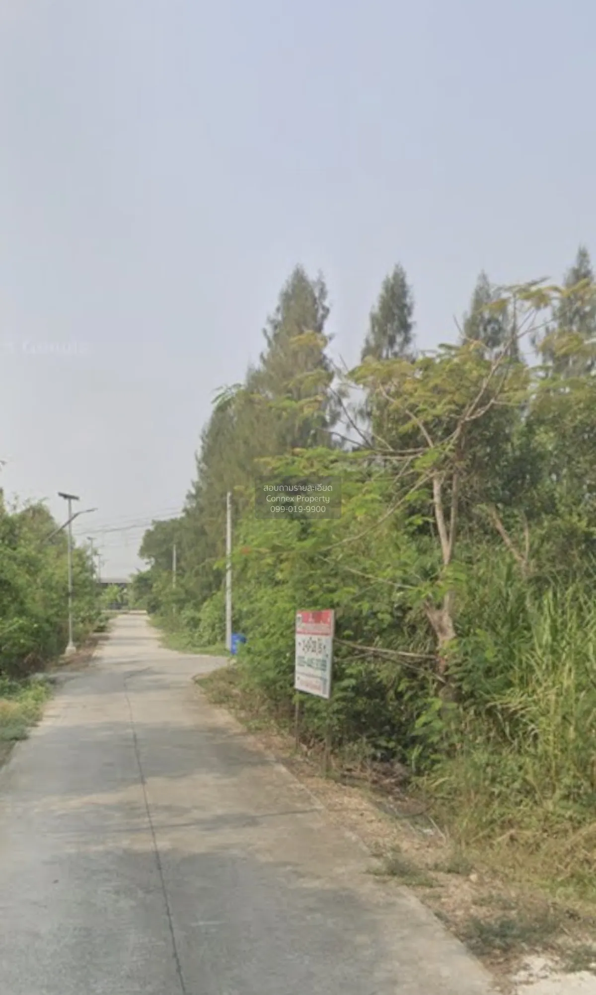 ขายที่ดินเปล่า 1-3-38 สามโคก ปทุมธานี บางโพธิ์เหนือ สามโคก ปทุมธา 1