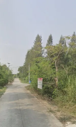 ขายที่ดินเปล่า 1-3-38 สามโคก ปทุมธานี บางโพธิ์เหนือ สามโคก ปทุมธานี CX-154804
