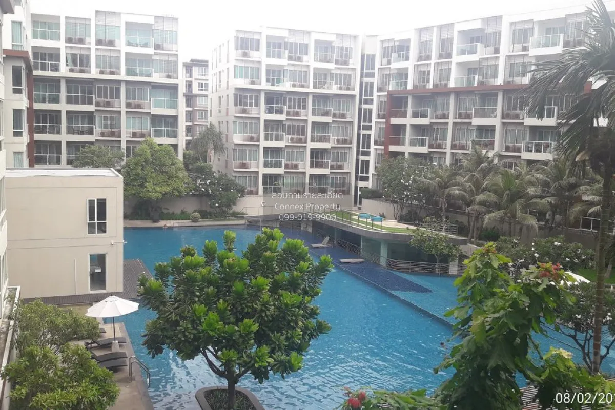 ขายคอนโด  เดอะ ซีเครซ หัวหิน หนองแก หัวหิน ประจวบคีรีขันธ์ CX-154