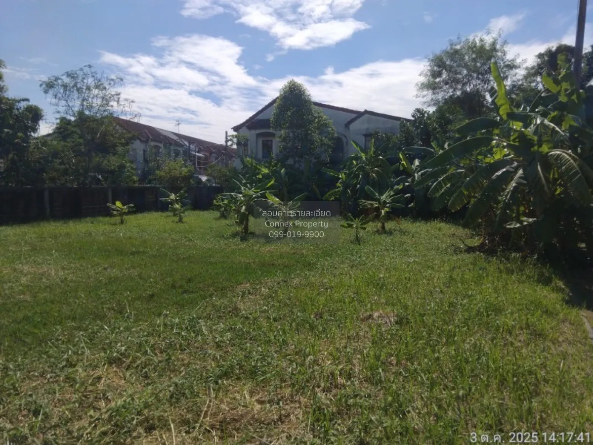 For Sale Land , Sivalee Rangsit 2 , Khu Khot , Lam Luk Ka , Pathu 1