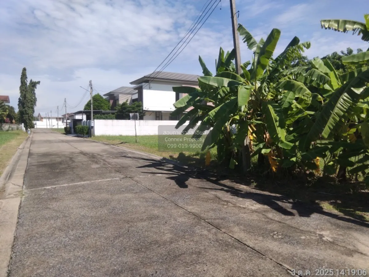 For Sale Land , Sivalee Rangsit 2 , Khu Khot , Lam Luk Ka , Pathu 2