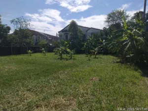 For Sale Land , Sivalee Rangsit 2 , Khu Khot , Lam Luk Ka , Pathum Thani , CX-154968