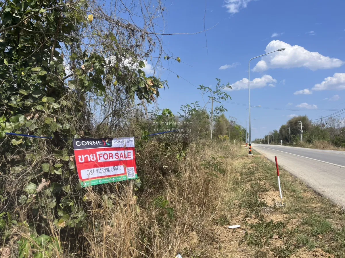 For Sale Land for sale in Na Karol Ko kha Lampang , Na Kaeo , Ko  2