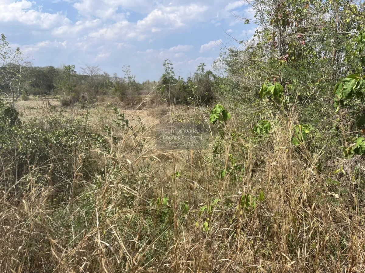 For Sale Land for sale in Na Karol Ko kha Lampang , Na Kaeo , Ko  3