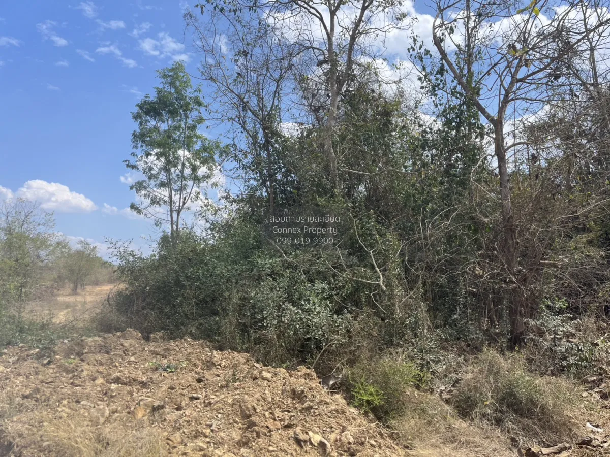 For Sale Land for sale in Na Karol Ko kha Lampang , Na Kaeo , Ko  4