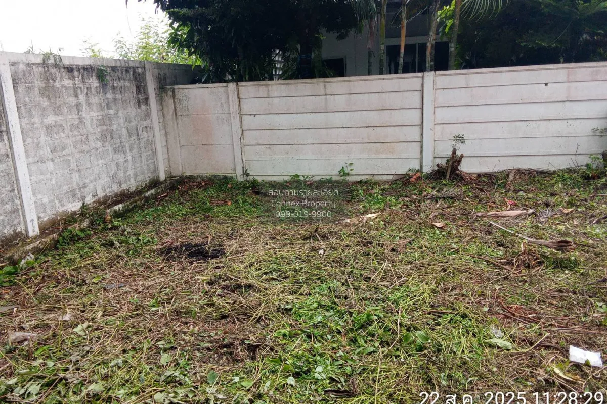 For Sale House , The Nine @Thanya , Lam Luk Ka , Lam Luk Ka , Pat