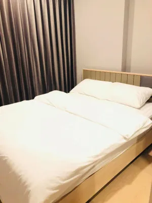 For Sale Condo , The Tree Sukhumvit 71 , ARL-Ramkhamhaeng , Suan Luang , Suan Luang , Bangkok , CX-155634