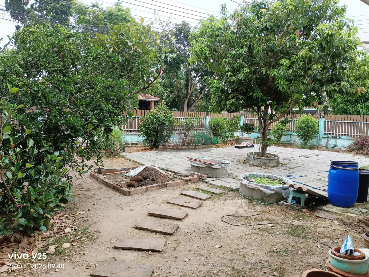 ขายบ้าน  บ้านเกษมสุข รังสิต - คลอง7 บึงคำพร้อย ลำลูกกา ปทุมธานี C
