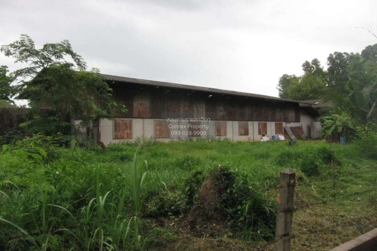For Sale Factory located on a 4-2-95 rai plot of land at Tha Boon 3