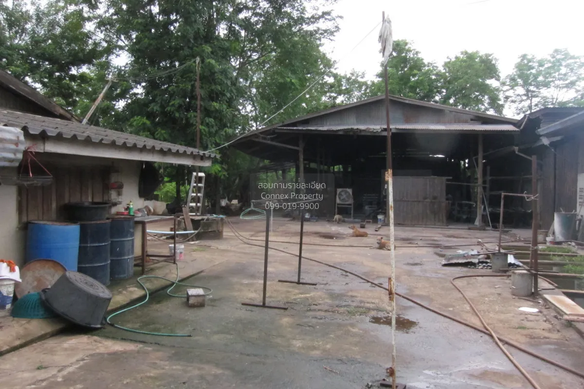 For Sale Factory located on a 4-2-95 rai plot of land at Tha Boon