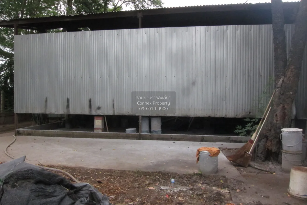 For Sale Factory located on a 4-2-95 rai plot of land at Tha Boon
