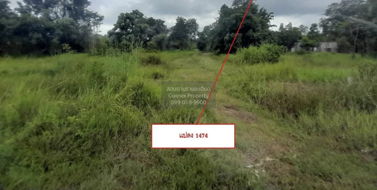 For Sale land plots totaling 53-3-76 square wa in Watthana Nakhon 4