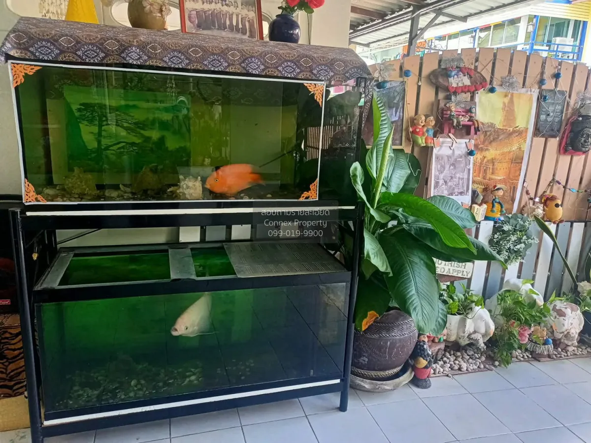 ขายคอนโด  บ้านพฤกษา 15 บางปู แพรกษาใหม่ เมืองสมุทรปราการ สมุทรปรา