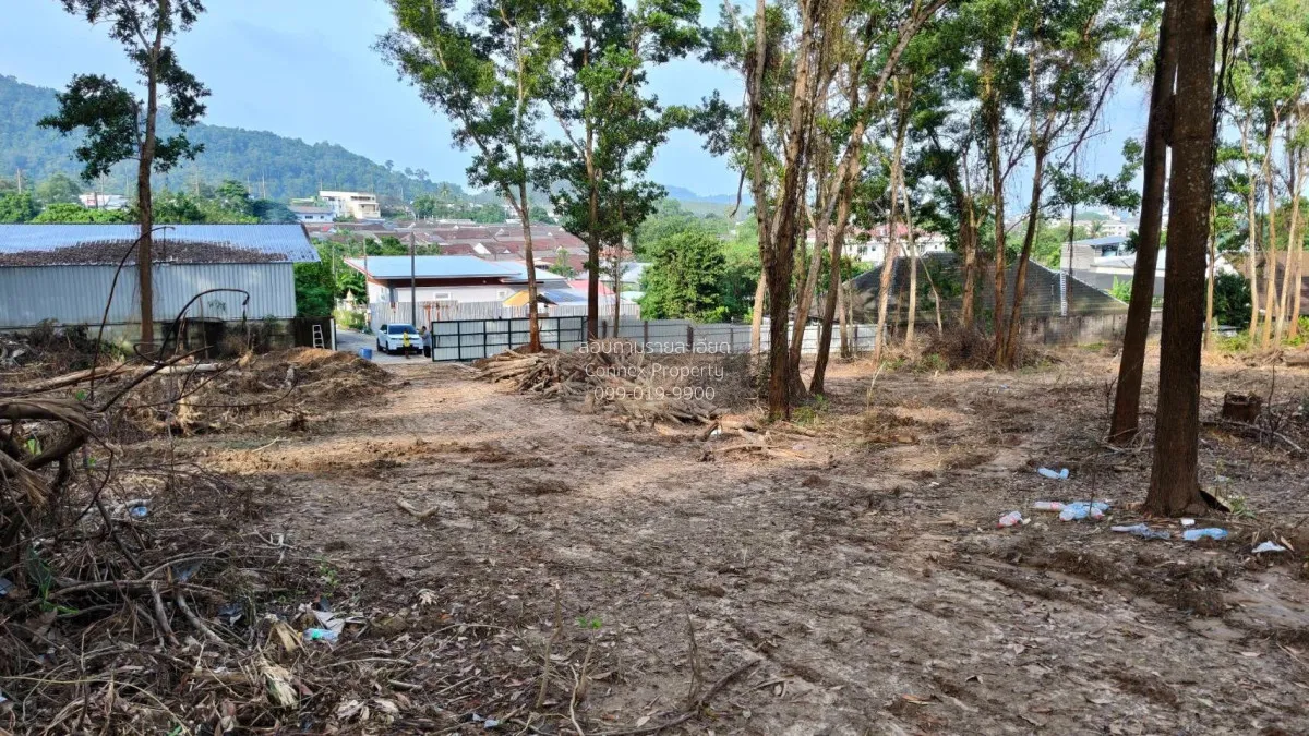 For Sale land 20-1-0 rai Chalong Phuket , Chalong , Mueang Phuket 2