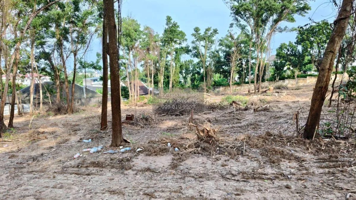 For Sale land 20-1-0 rai Chalong Phuket , Chalong , Mueang Phuket 3