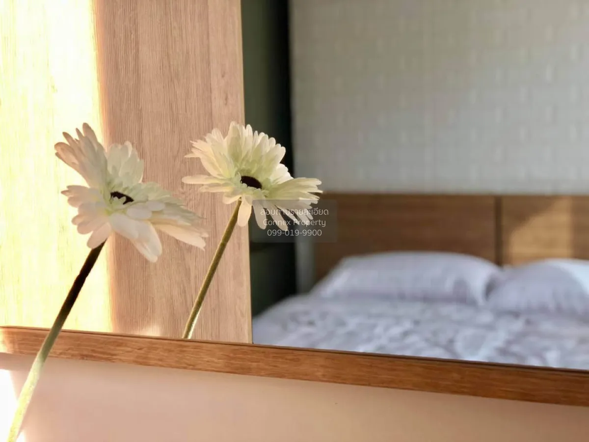 For Rent Condo , UNIO Sukhumvit 72 , BTS-Bearing , Samrong Nuea , 1