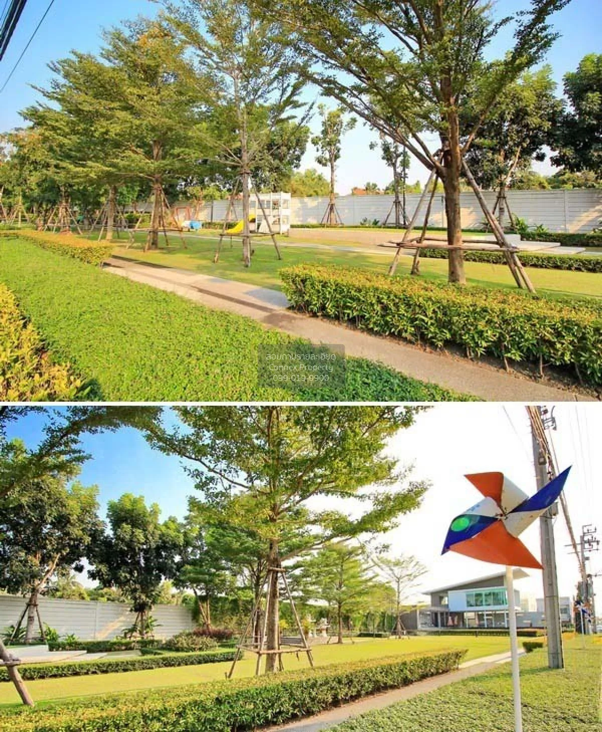 ขายทาวน์เฮ้าส์/ทาวน์โฮม  พลีโน่ พระราม 5 – ปิ่นเกล้า รีโนเวทใหม่  2