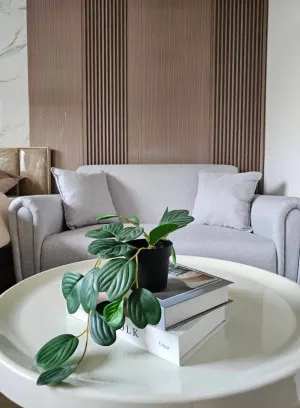 For Rent Condo , Elio Del Ray Sukhumvit 64 , newly renovated , BTS-Punnawithi , Bang Chak , Phra Khanong , Bangkok , CX-158636
