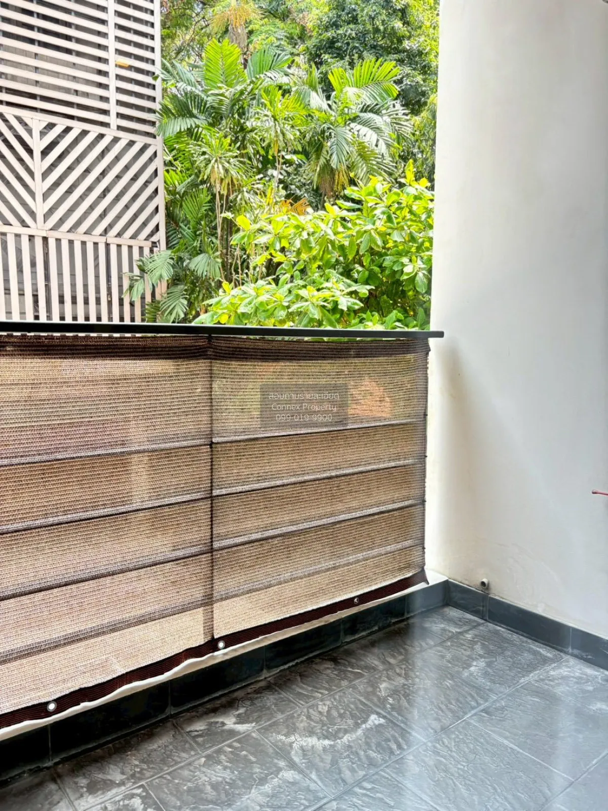 For Rent Condo , Tree Condo Sukhumvit 42 , BTS-Phra Khanong , Phr