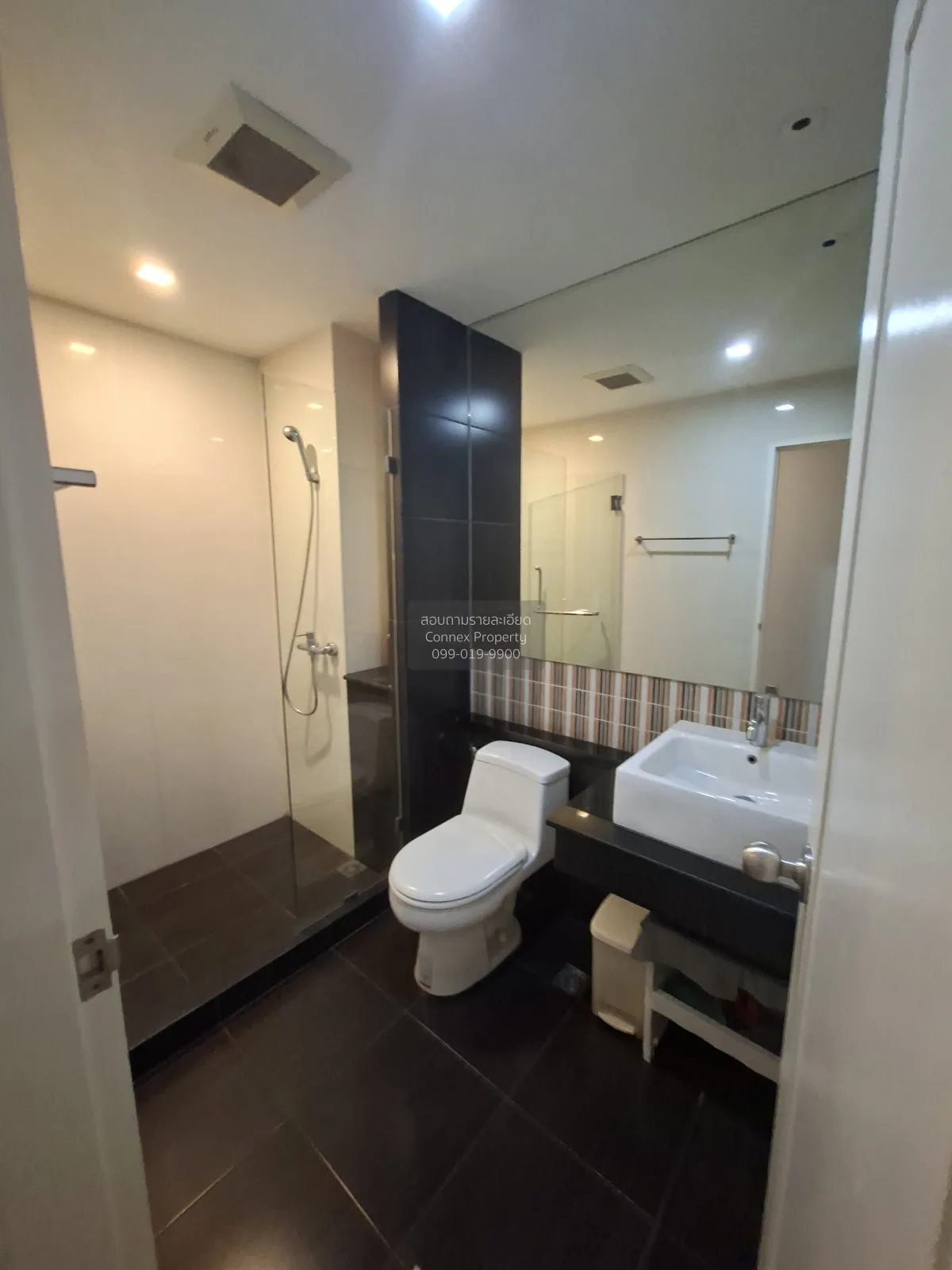 For Rent Condo , Tree Condo Sukhumvit 42 , BTS-Phra Khanong , Phr