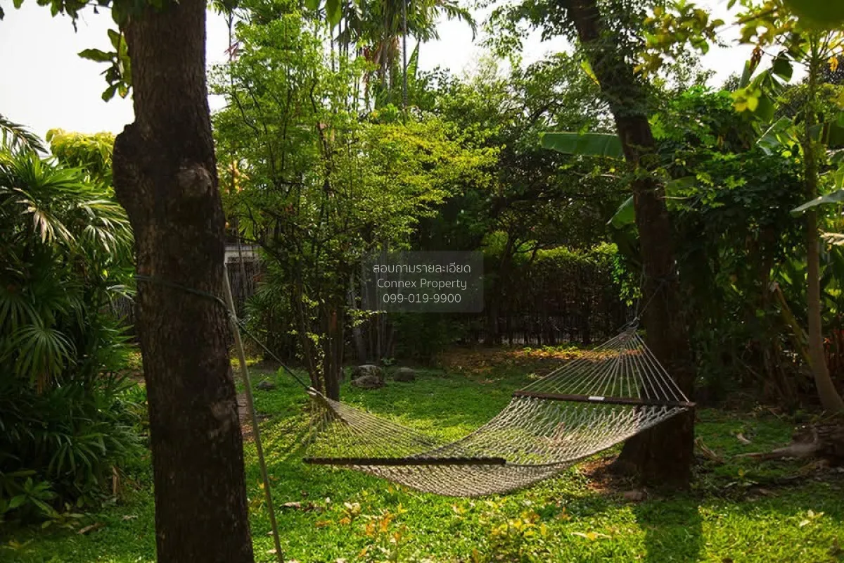 For Sale Timeless Thai Contemporary living in the heart of Intham