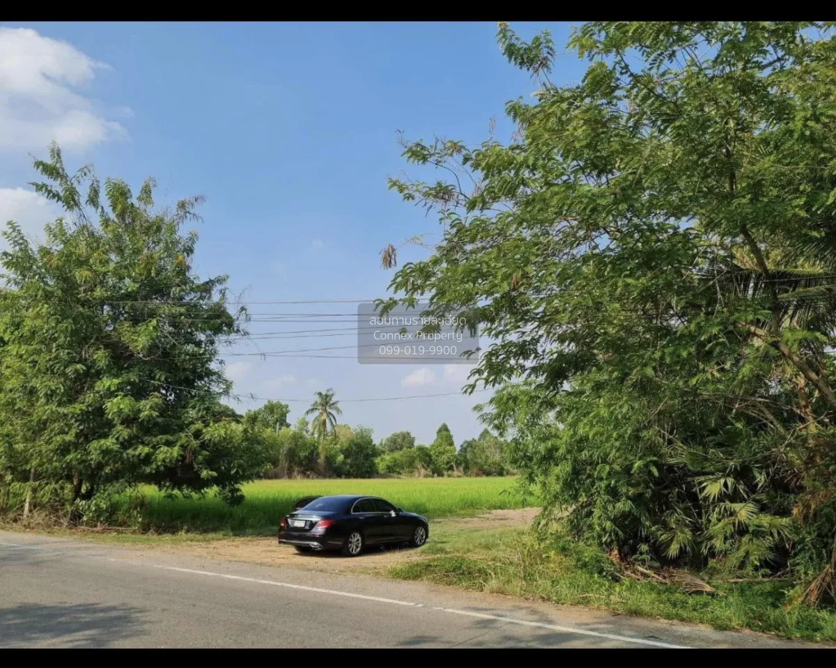 ขายที่ดินเปล่า  หน้ากว้าง หนองสามวัง หนองเสือ ปทุมธานี CX-159446 1