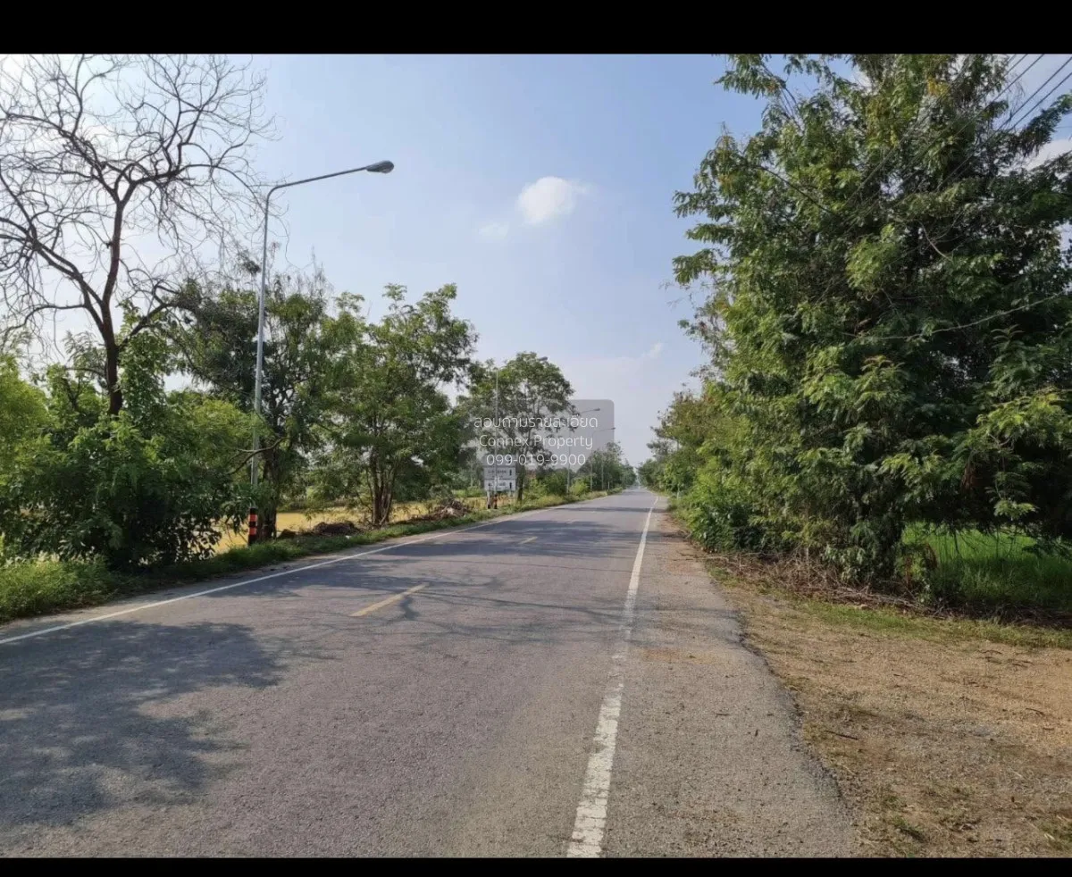 ขายที่ดินเปล่า  หน้ากว้าง หนองสามวัง หนองเสือ ปทุมธานี CX-159446 4