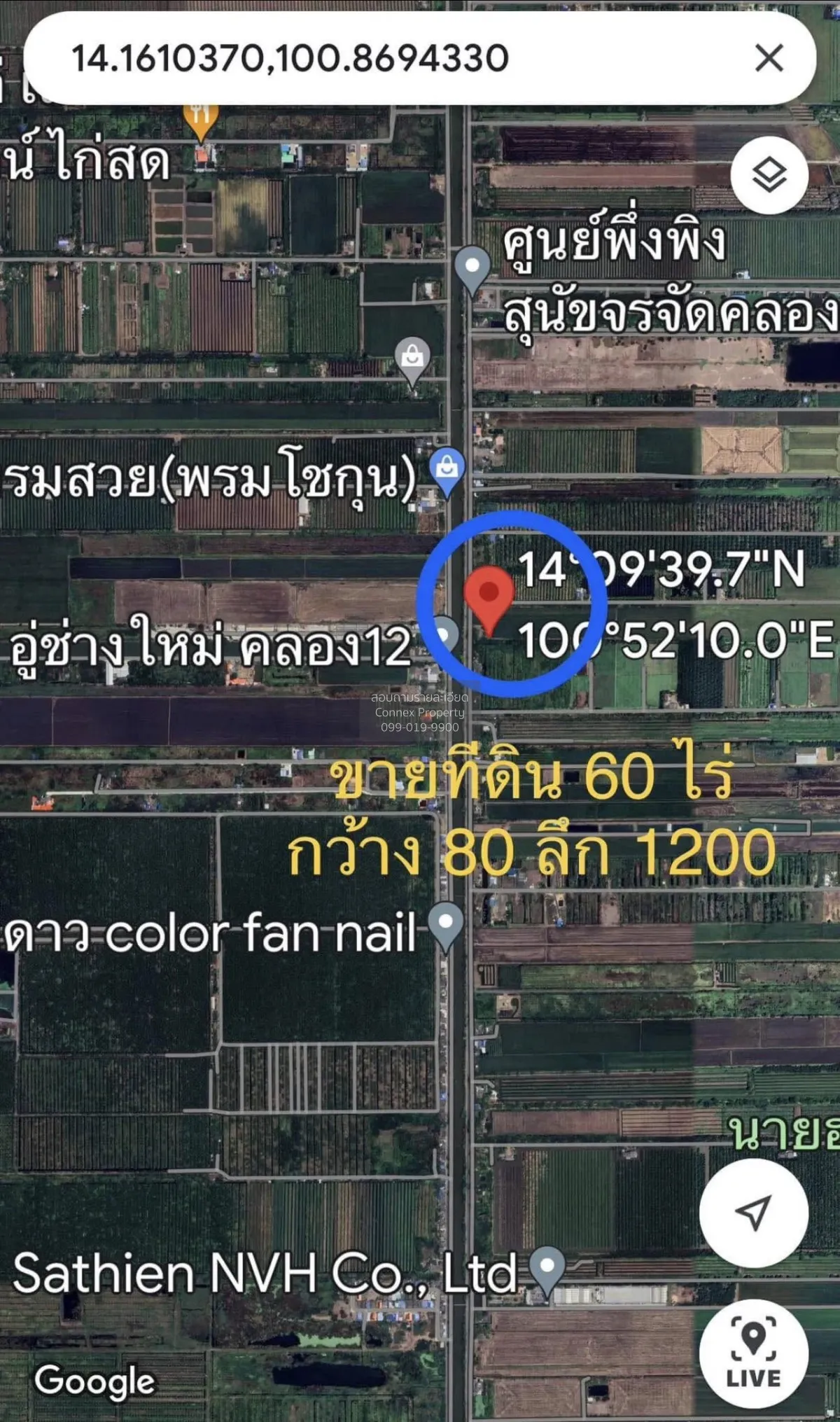 ขายที่ดินเปล่า  หน้ากว้าง หนองสามวัง หนองเสือ ปทุมธานี CX-159446