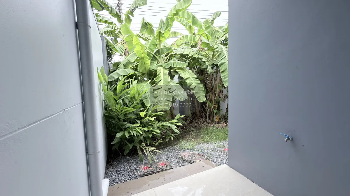 ขายบ้าน  บ้านรัชชา 5 ห้องมุม รีโนเวทใหม่ บางม่วง บางใหญ่ นนทบุรี 