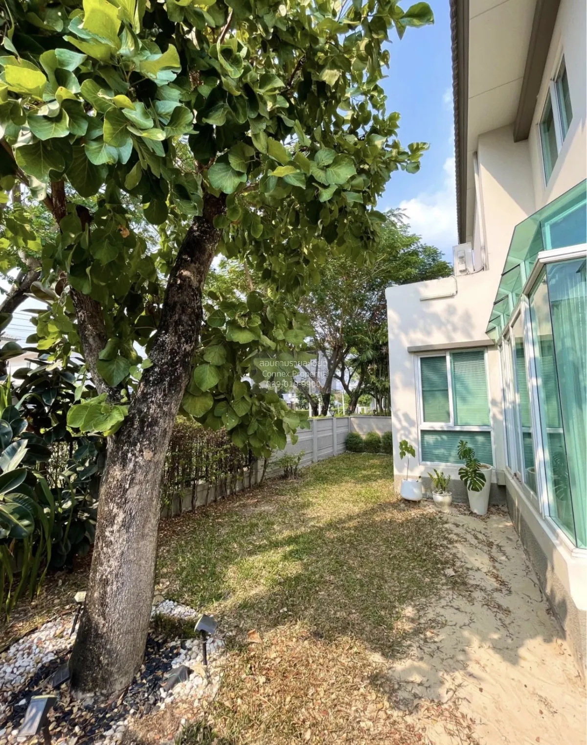 For Sale House , Casa Ville Donmuang-Songprapa , nice view , corn 3