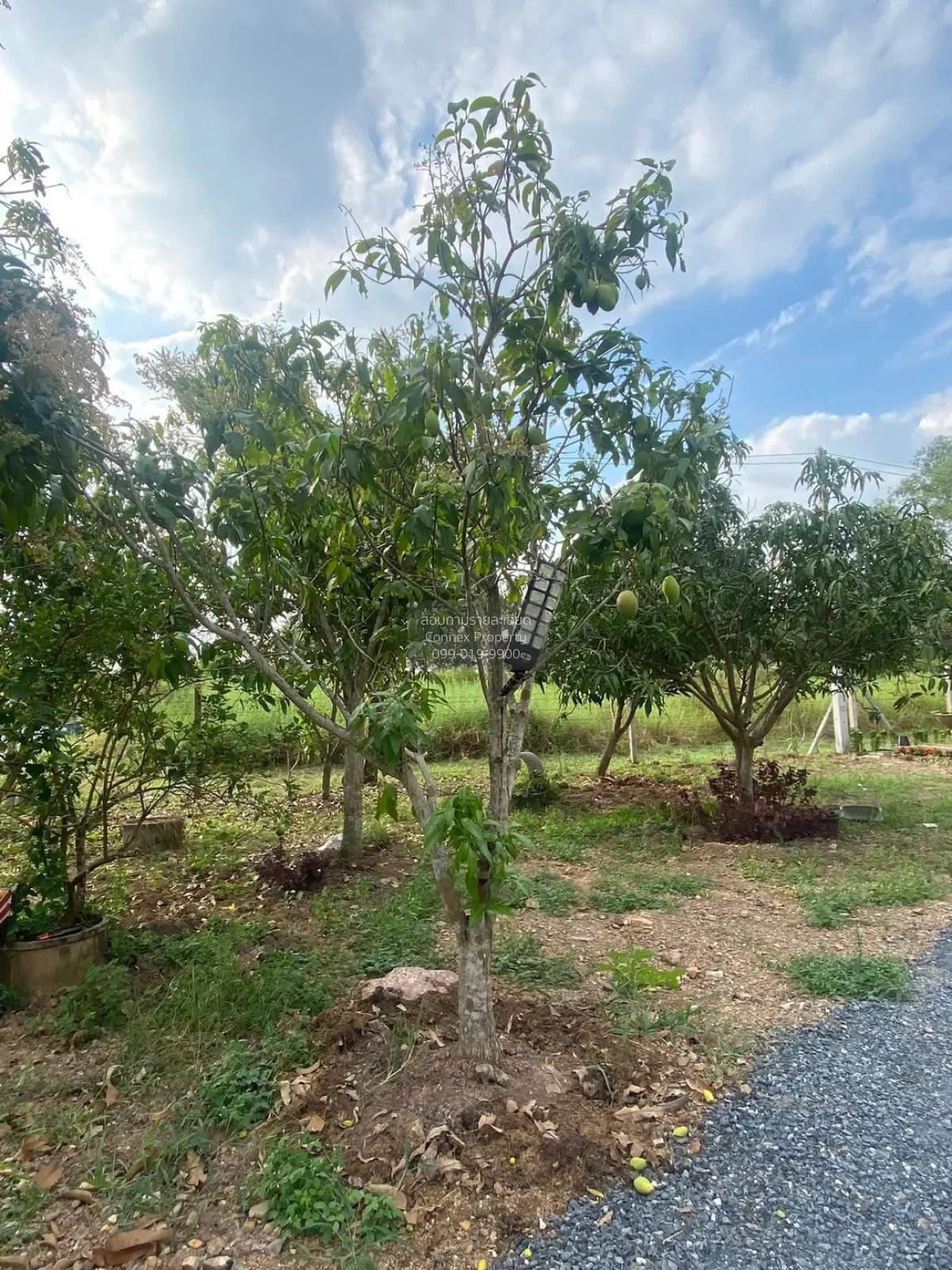 For Sale House , Kanokkull 3 Khlong 14 , nice view , river view ,