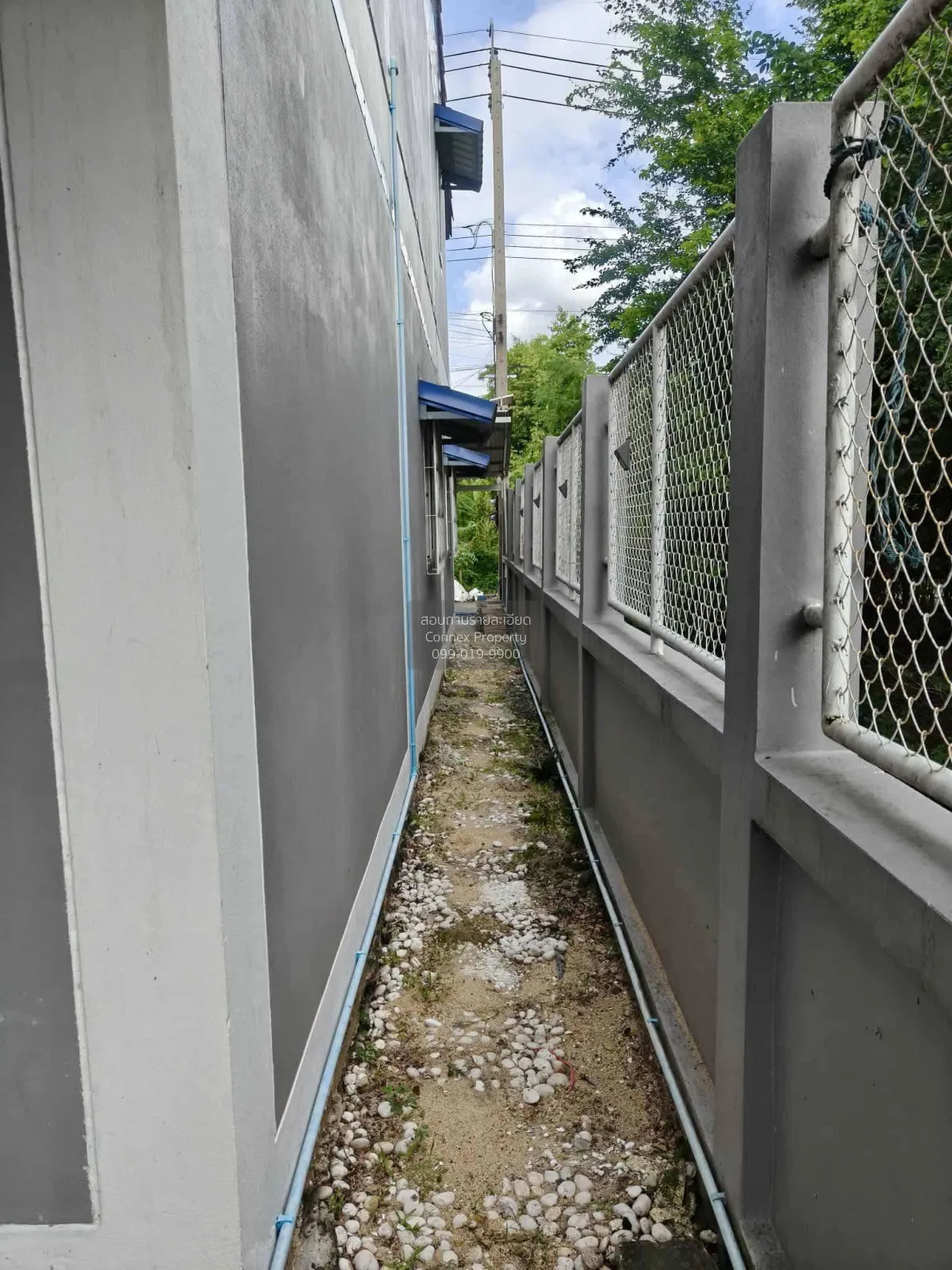 ขายทาวน์เฮาส์  2  ชั้น ห้องมุม 26 ตรว. ชุมชนบ้านปีกไม้ 5 - บ้านรี