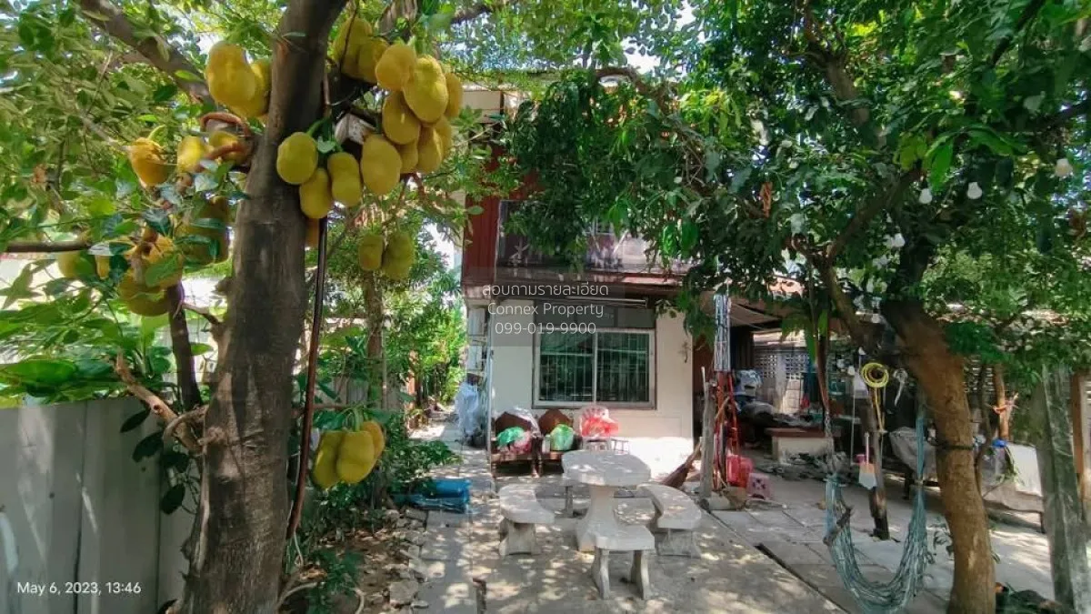 ขายบ้านพร้อมที่ดิน  แขวงจันทรเกษม เขต จตุจักร กรุงเทพ CX-160588 4