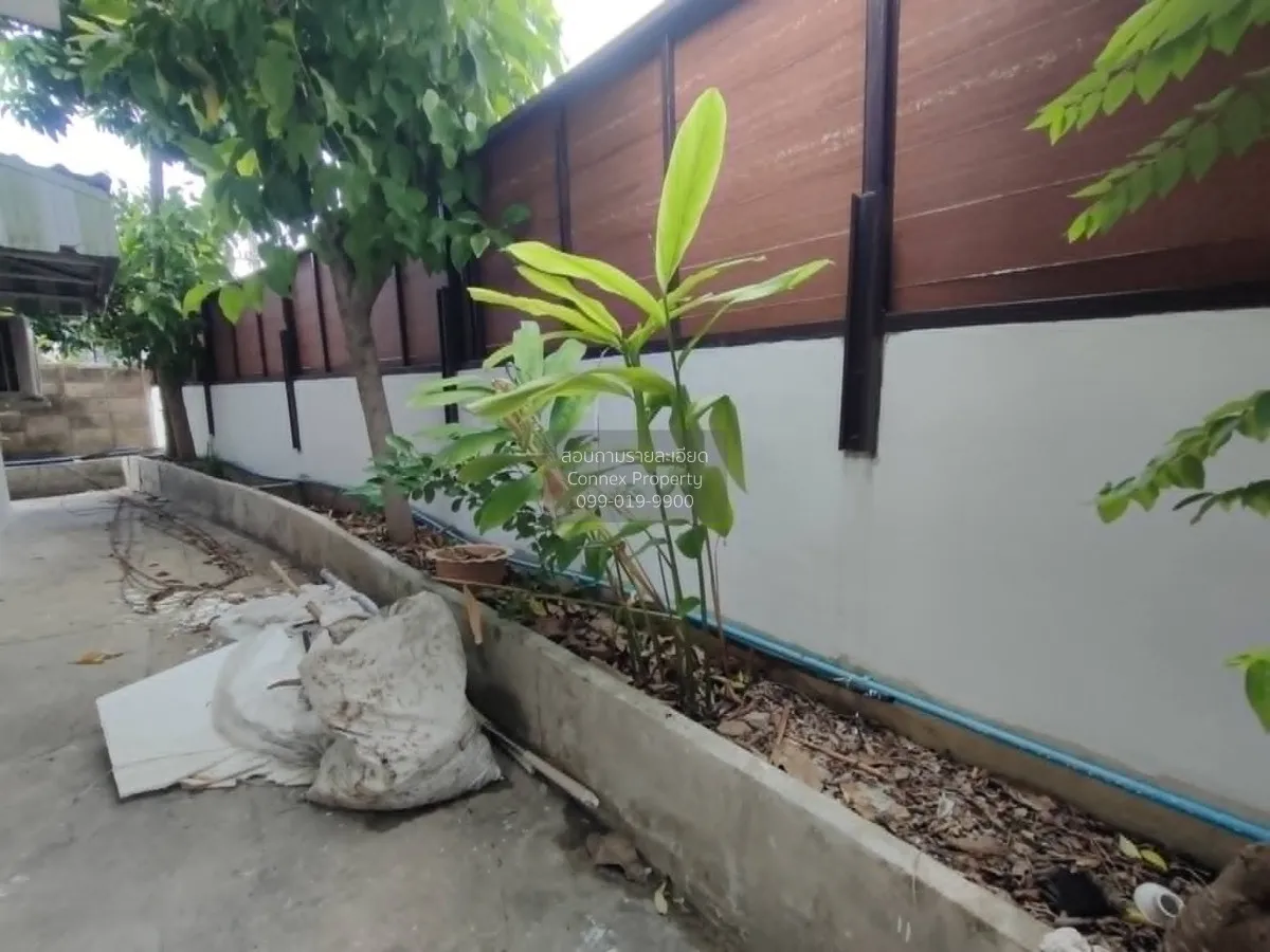 เช่าบ้าน  บ้านสวน อุดมสุข 48 บางนาเหนือ เขต บางนา กรุงเทพ CX-1620 2