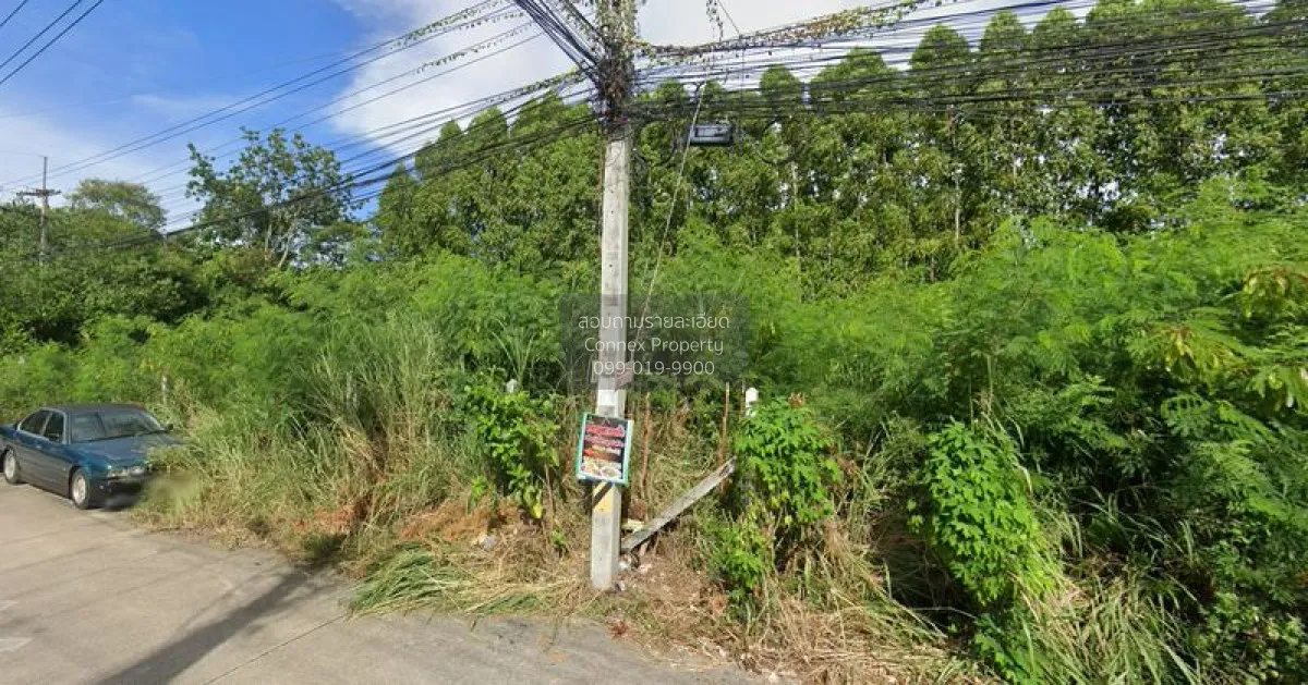 For Sale land 199 square wah Bang Lamung Chonburi. , Mueang Phata 1
