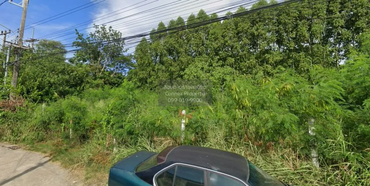 For Sale land 199 square wah Bang Lamung Chonburi. , Mueang Phata 3