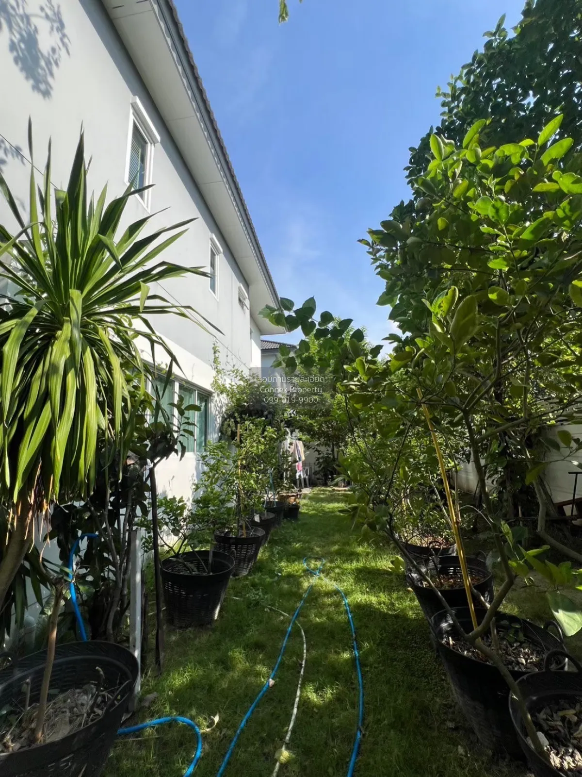 For Sale Sena Park Ville Ramindra - Wongwaen , corner unit , Khan