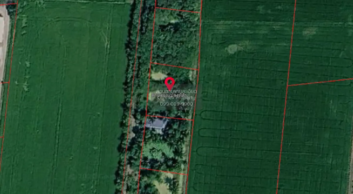 For Sale Plot of land, sized 200 sq. wah (Green Zone), near Phutt 1
