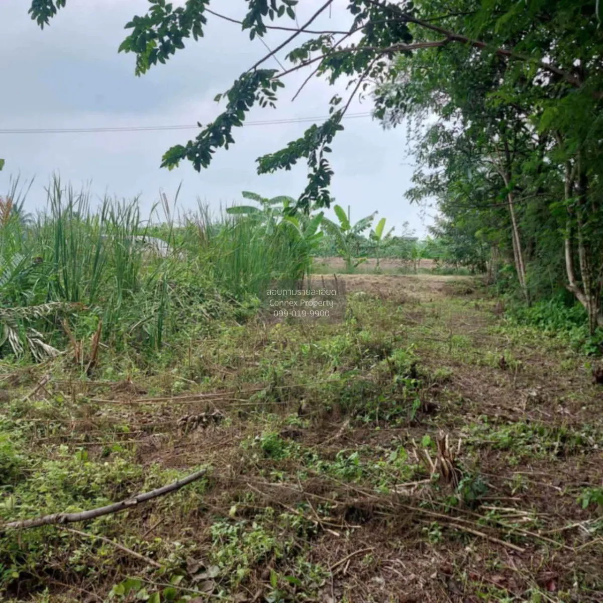 For Sale Plot of land, sized 200 sq. wah (Green Zone), near Phutt