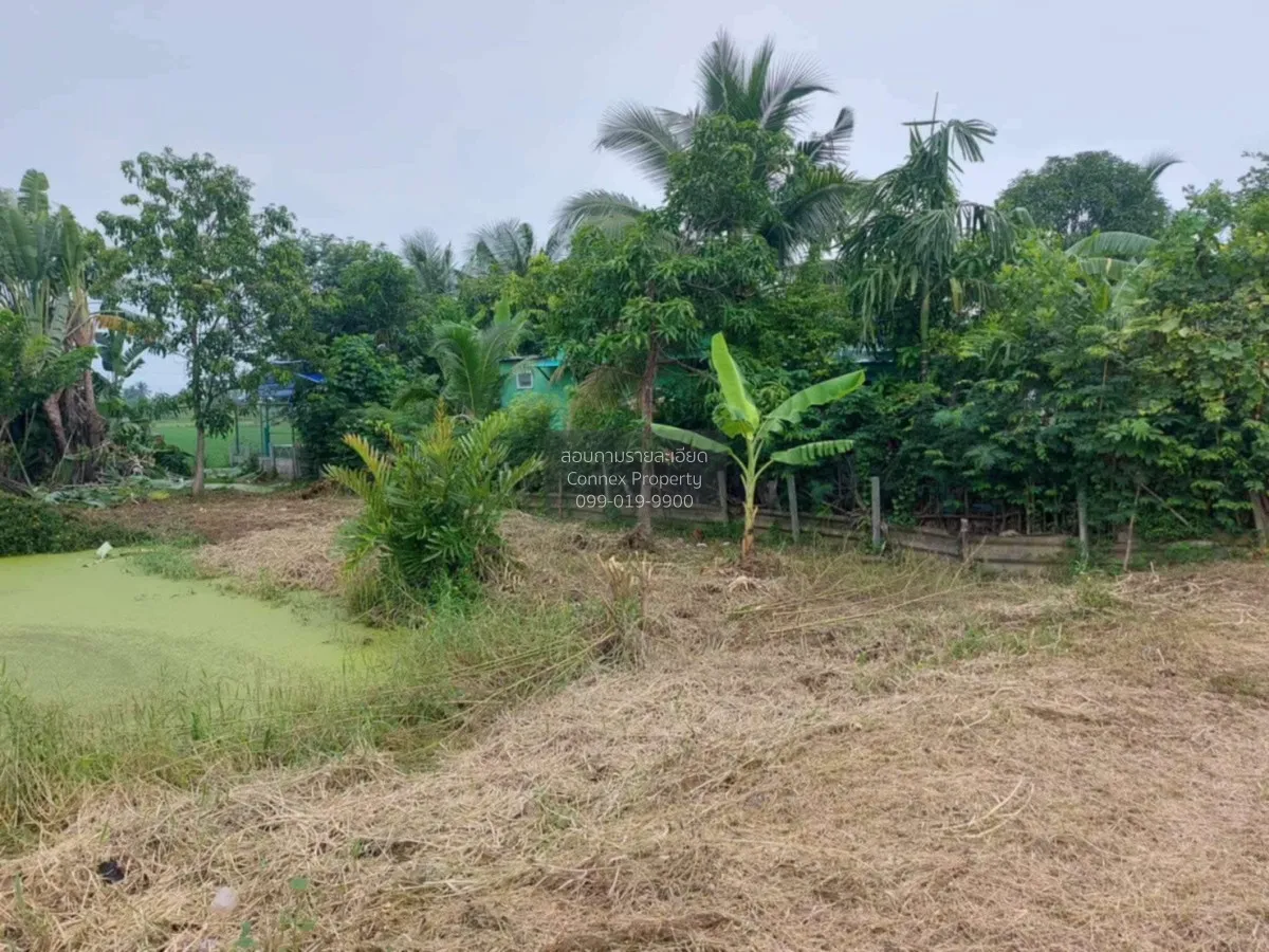 For Sale Plot of land, sized 200 sq. wah (Green Zone), near Phutt