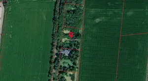 For Sale Plot of land, sized 200 sq. wah (Green Zone), near Phutthamonthon Industrial and Community Education College , Khlong Yong , Phutthamonthon , Nakhon Pathom , CX-162163