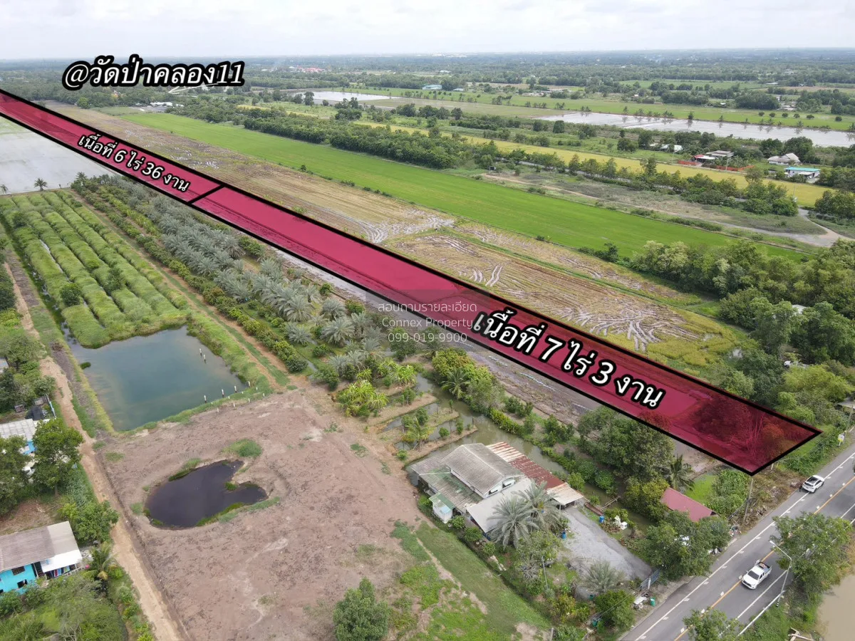 ขายที่ดินสวยเชิงเกษตรบ้านสวนคลอง 11ต.บึงกาสาม อ. หนองเสือ จ.ปทุมธ 2