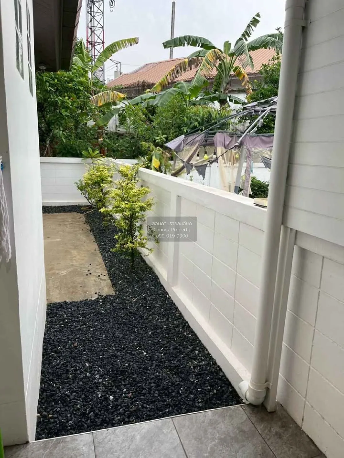 ขายบ้าน  บ้านสวนอยู่เจริญ 5 ป่าคลอก ป่าคลอก ถลาง ภูเก็ต CX-162772